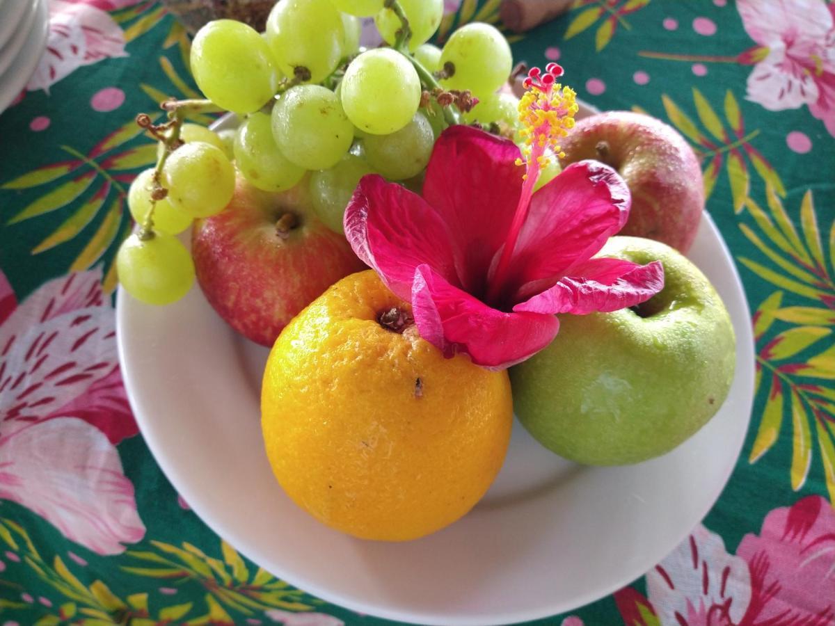 Pousada Bahia Boa มาเรา ภายนอก รูปภาพ